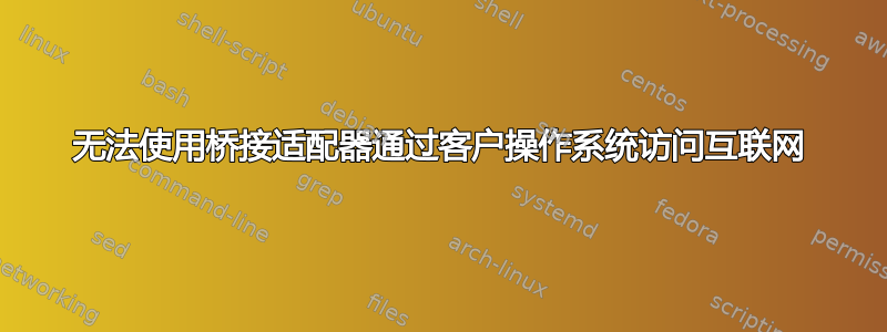 无法使用桥接适配器通过客户操作系统访问互联网