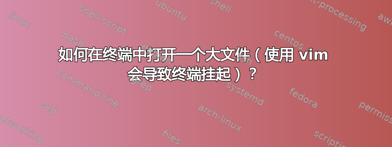 如何在终端中打开一个大文件（使用 vim 会导致终端挂起）？