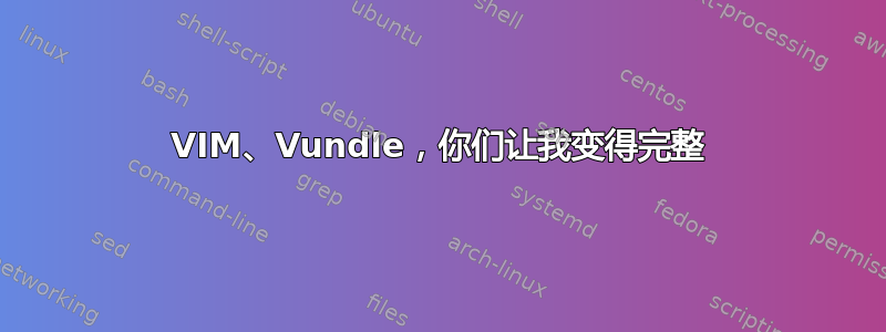 VIM、Vundle，你们让我变得完整