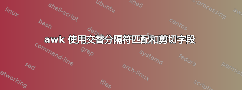 awk 使用交替分隔符匹配和剪切字段