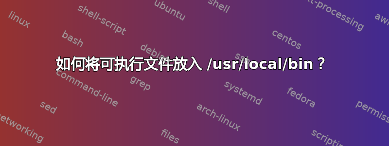 如何将可执行文件放入 /usr/local/bin？