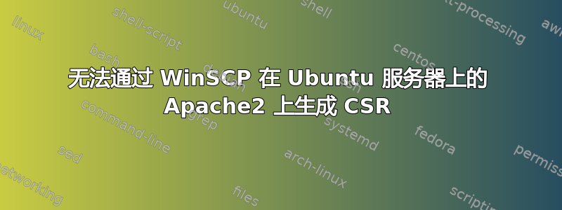 无法通过 WinSCP 在 Ubuntu 服务器上的 Apache2 上生成 CSR