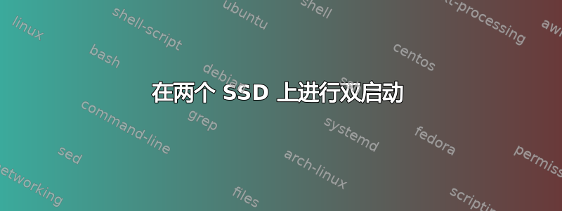 在两个 SSD 上进行双启动