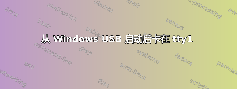 从 Windows USB 启动后卡在 tty1