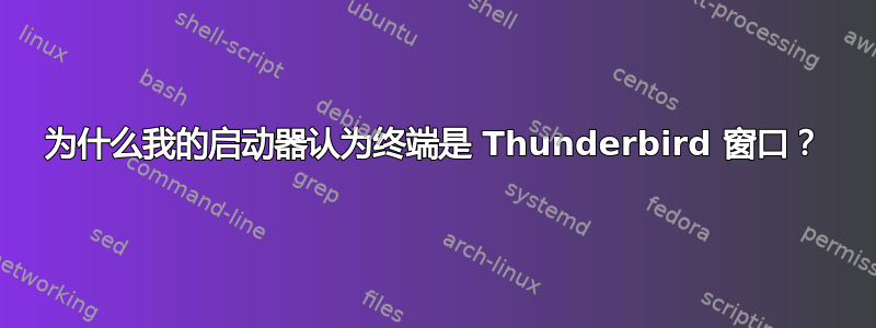 为什么我的启动器认为终端是 Thunderbird 窗口？