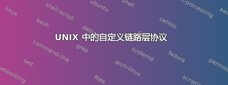 UNIX 中的自定义链路层协议 