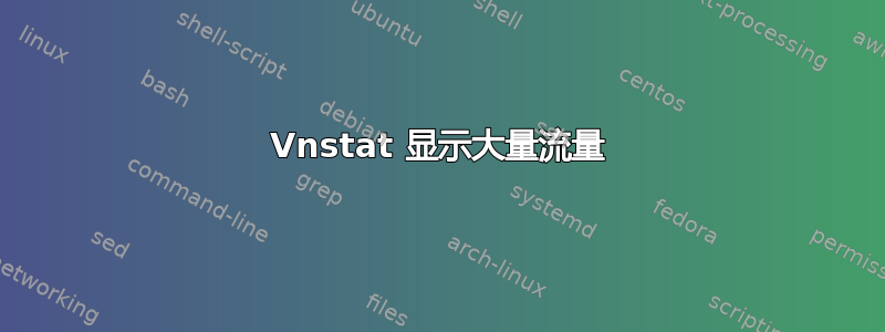 Vnstat 显示大量流量