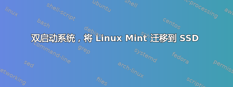 双启动系统，将 Linux Mint 迁移到 SSD