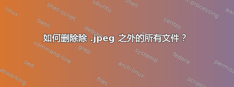 如何删除除 .jpeg 之外的所有文件？