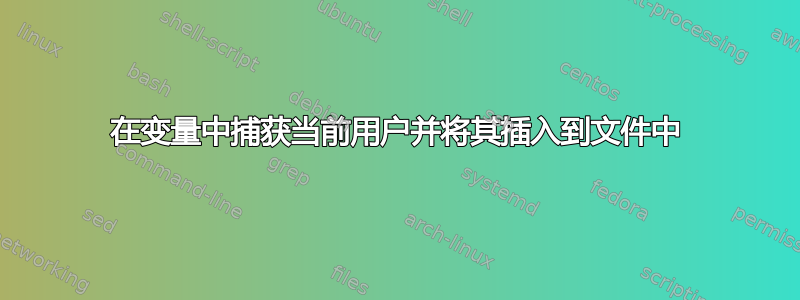 在变量中捕获当前用户并将其插入到文件中