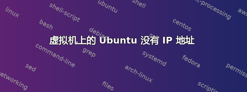 虚拟机上的 Ubuntu 没有 IP 地址