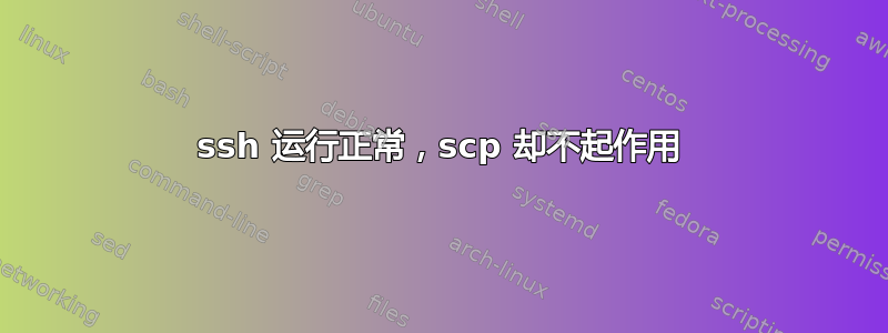 ssh 运行正常，scp 却不起作用