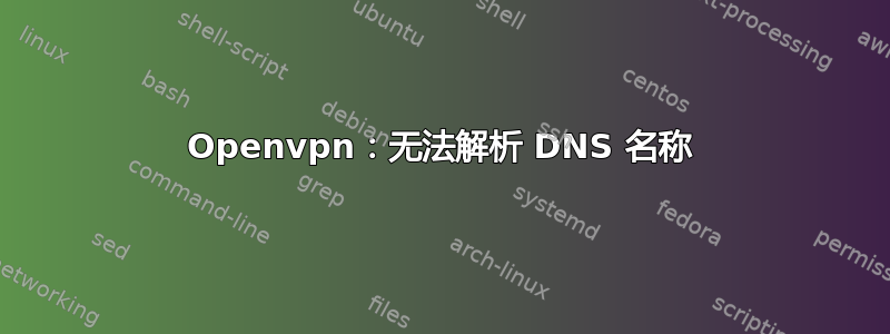 Openvpn：无法解析 DNS 名称