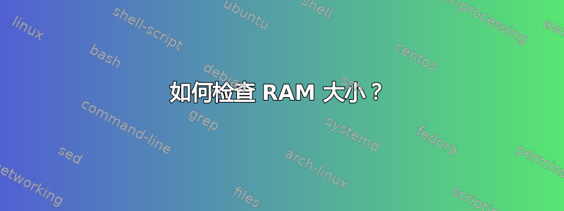 如何检查 RAM 大小？