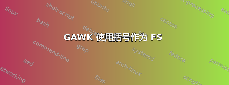 GAWK 使用括号作为 FS