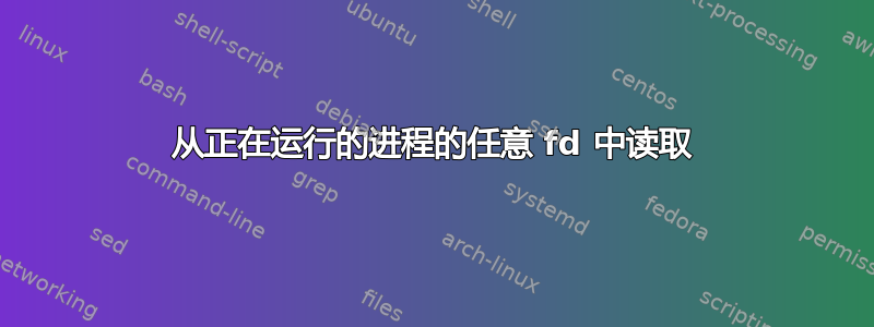 从正在运行的进程的任意 fd 中读取