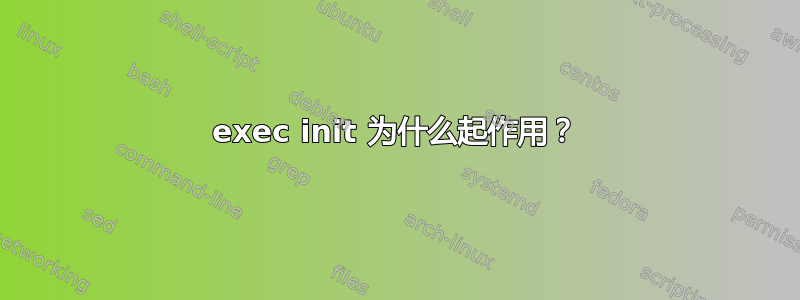 exec init 为什么起作用？