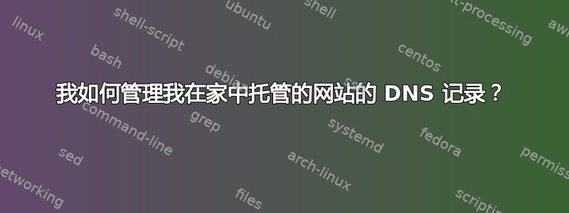 我如何管理我在家中托管的网站的 DNS 记录？