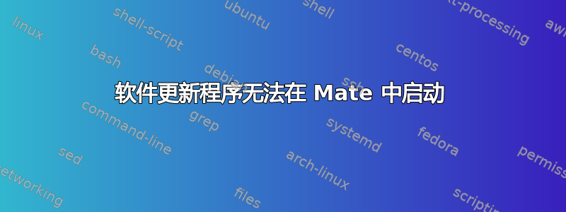 软件更新程序无法在 Mate 中启动