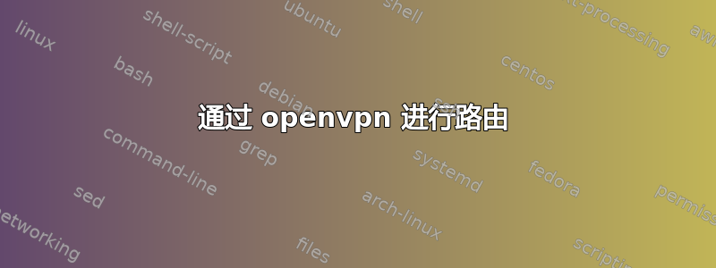 通过 openvpn 进行路由