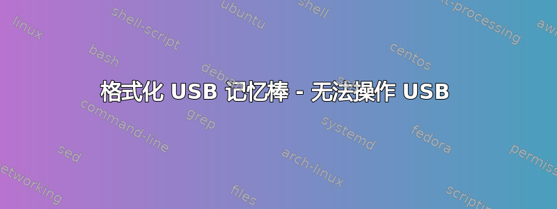 格式化 USB 记忆棒 - 无法操作 USB