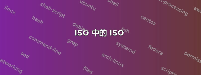 ISO 中的 ISO