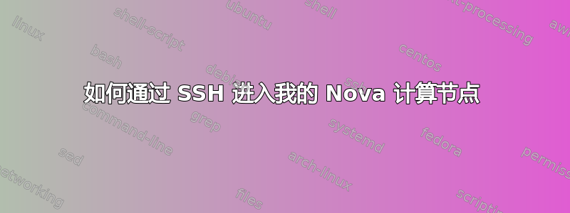 如何通过 SSH 进入我的 Nova 计算节点