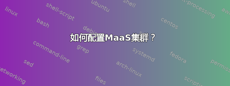 如何配置MaaS集群？