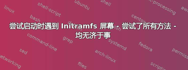 尝试启动时遇到 Initramfs 屏幕 - 尝试了所有方法 - 均无济于事