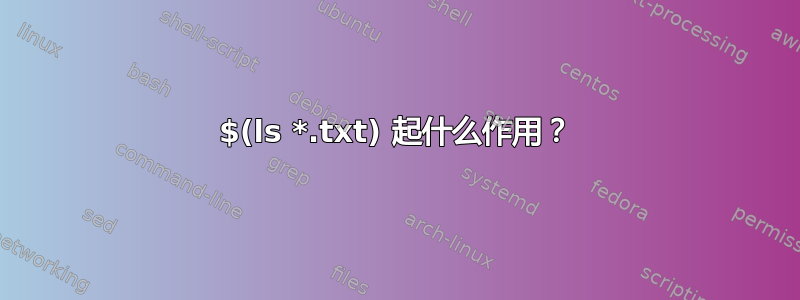 $(ls *.txt) 起什么作用？