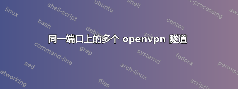 同一端口上的多个 openvpn 隧道