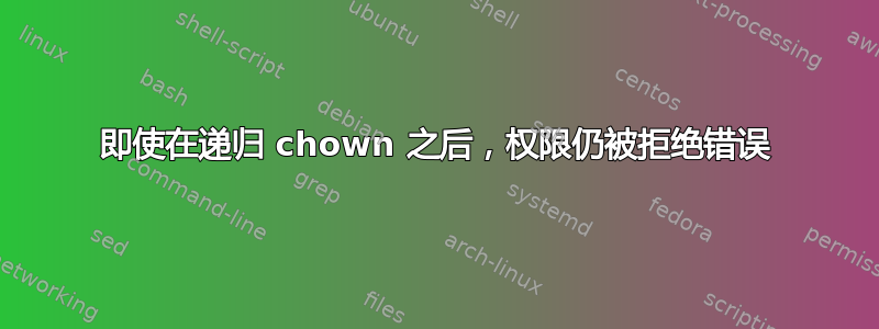 即使在递归 chown 之后，权限仍被拒绝错误