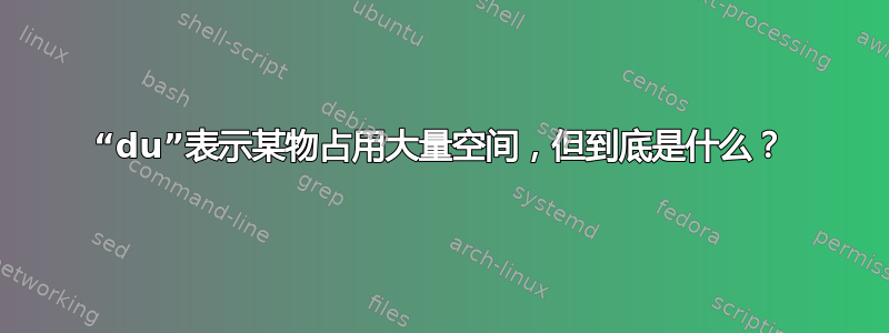 “du”表示某物占用大量空间，但到底是什么？