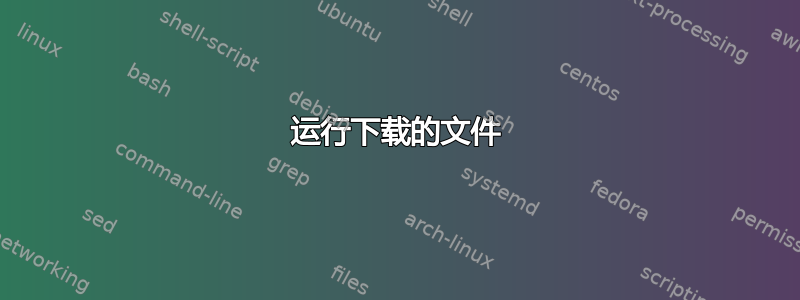 运行下载的文件