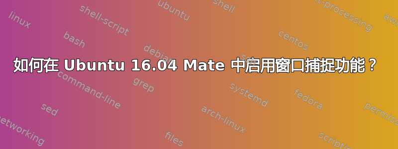 如何在 Ubuntu 16.04 Mate 中启用窗口捕捉功能？