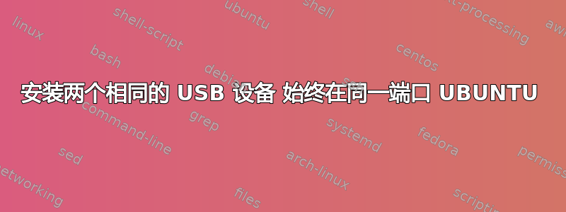 安装两个相同的 USB 设备 始终在同一端口 UBUNTU