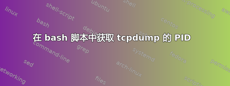 在 bash 脚本中获取 tcpdump 的 PID 