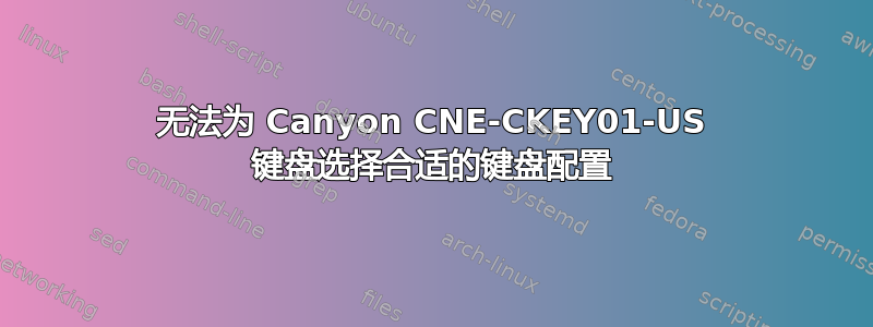 无法为 Canyon CNE-CKEY01-US 键盘选择合适的键盘配置