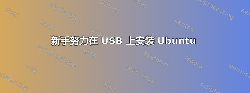 新手努力在 USB 上安装 Ubuntu