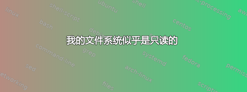 我的文件系统似乎是只读的