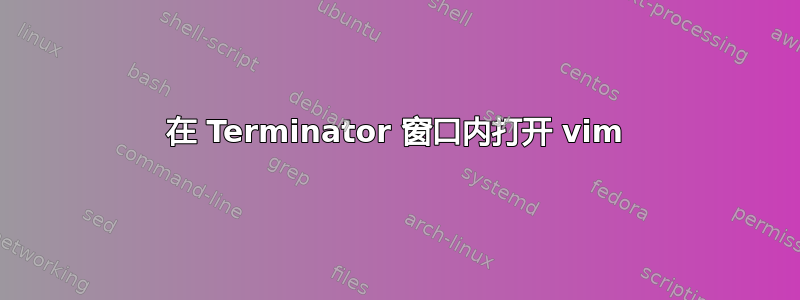 在 Terminator 窗口内打开 vim