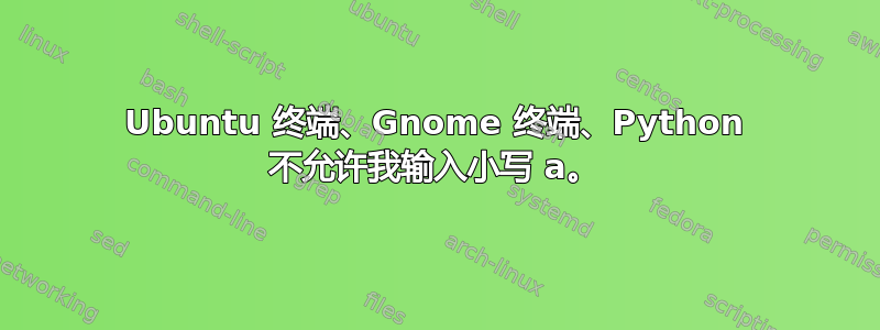 Ubuntu 终端、Gnome 终端、Python 不允许我输入小写 a。