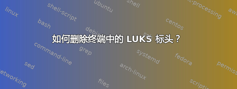 如何删除终端中的 LUKS 标头？