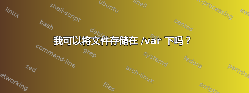 我可以将文件存储在 /var 下吗？