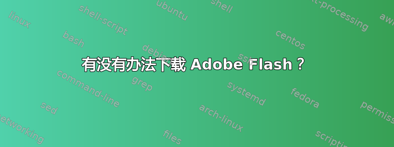 有没有办法下载 Adob​​e Flash？