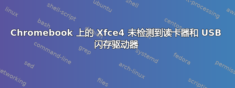 Chromebook 上的 Xfce4 未检测到读卡器和 USB 闪存驱动器