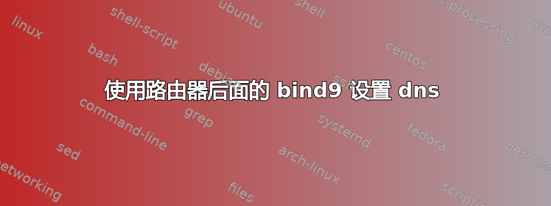 使用路由器后面的 bind9 设置 dns