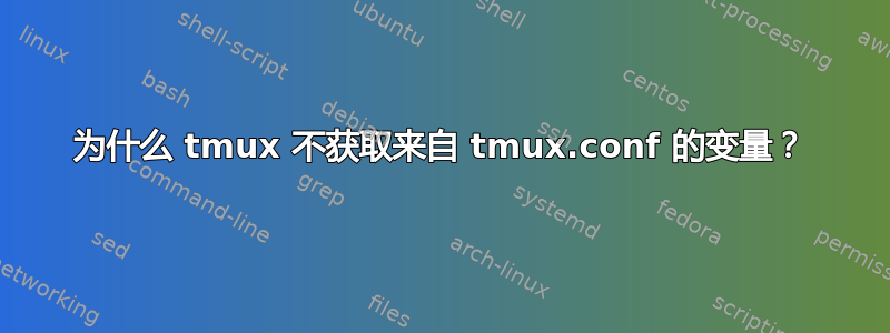 为什么 tmux 不获取来自 tmux.conf 的变量？