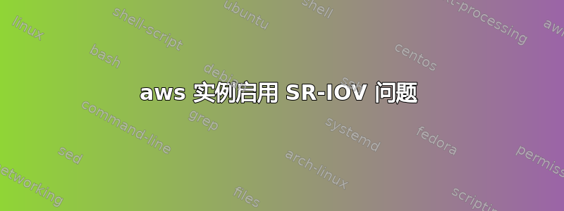 aws 实例启用 SR-IOV 问题