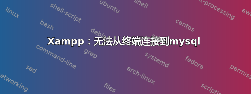 Xampp：无法从终端连接到mysql